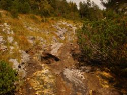 2013-10-08_Guffert (017).JPG